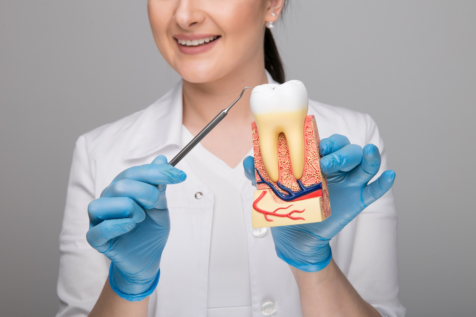 Tooth Model